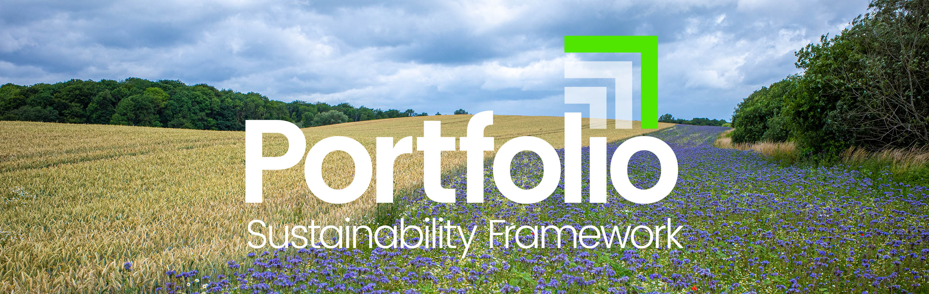 Portfolio Sustainability Framework