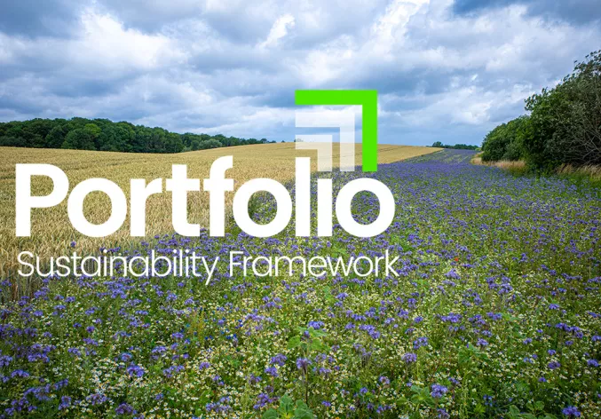 Portfolio Sustainability Framework