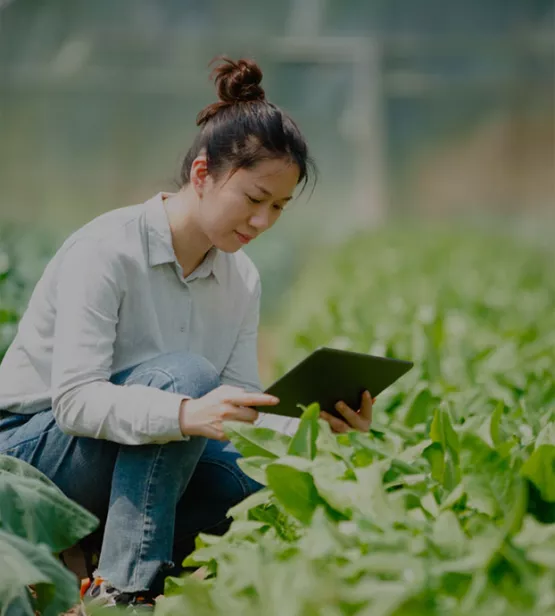 person syngenta group china