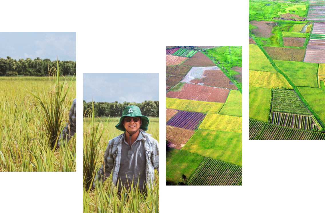 Aerial view of different crop fields