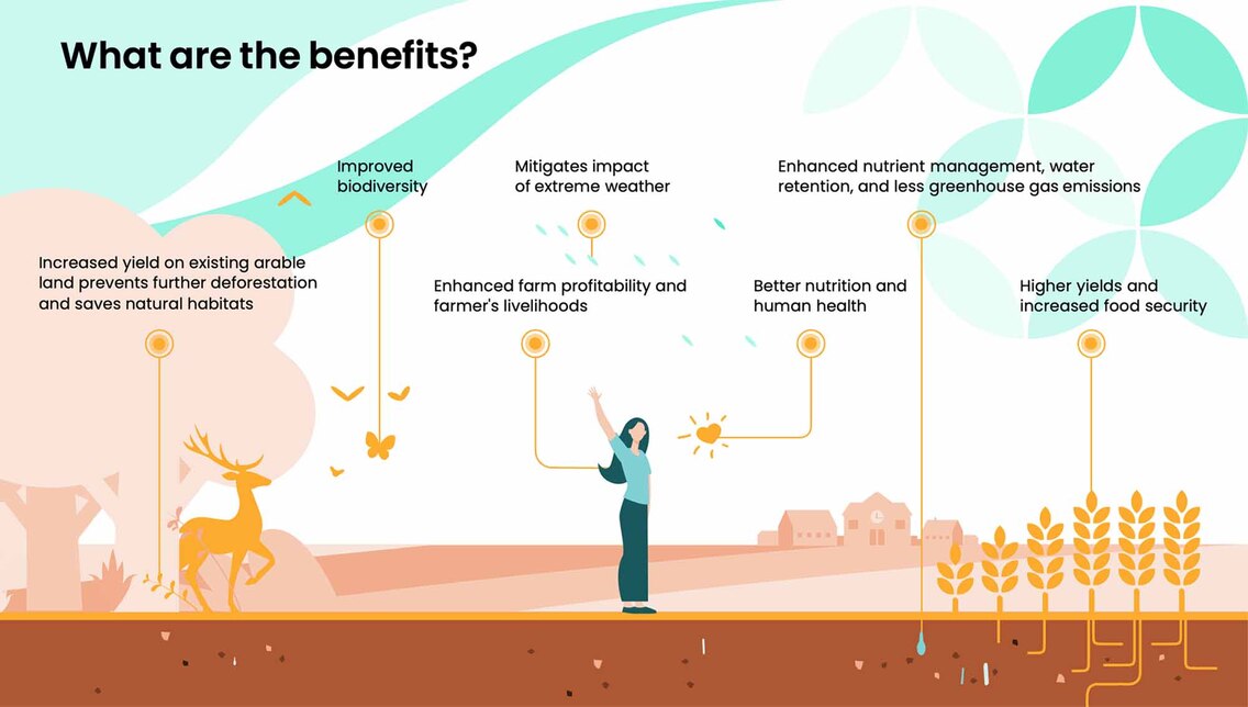 what-are-the-benefits-of-regenerative-agriculture