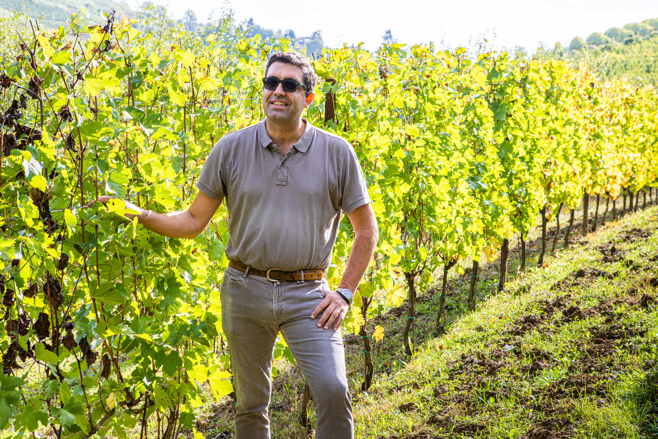 Cultivating sustainability in the ancient craft of winemaking