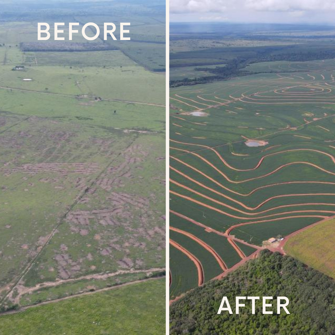 COP30 before and after