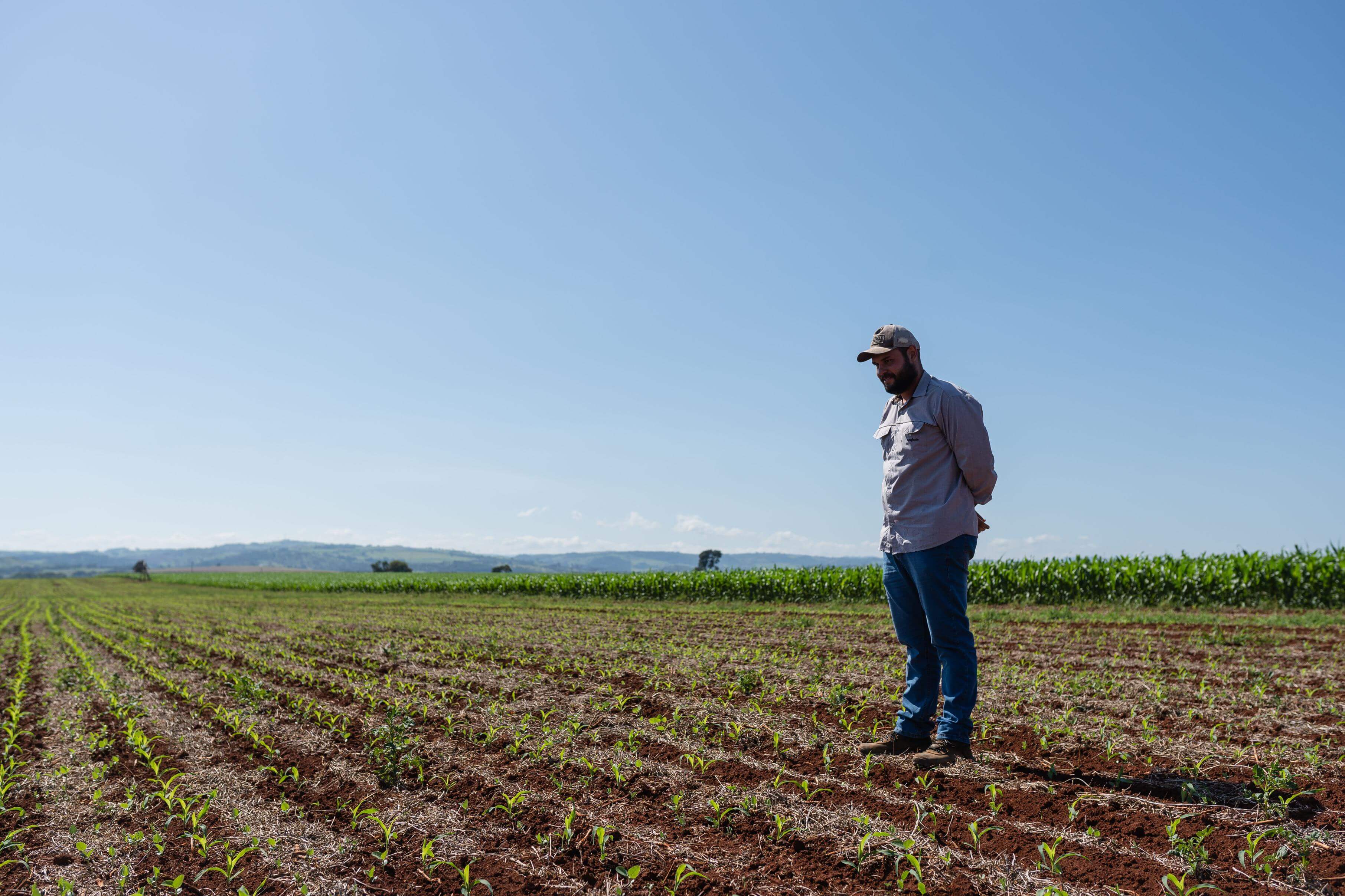 Agronomist in a cornfield in Brazil