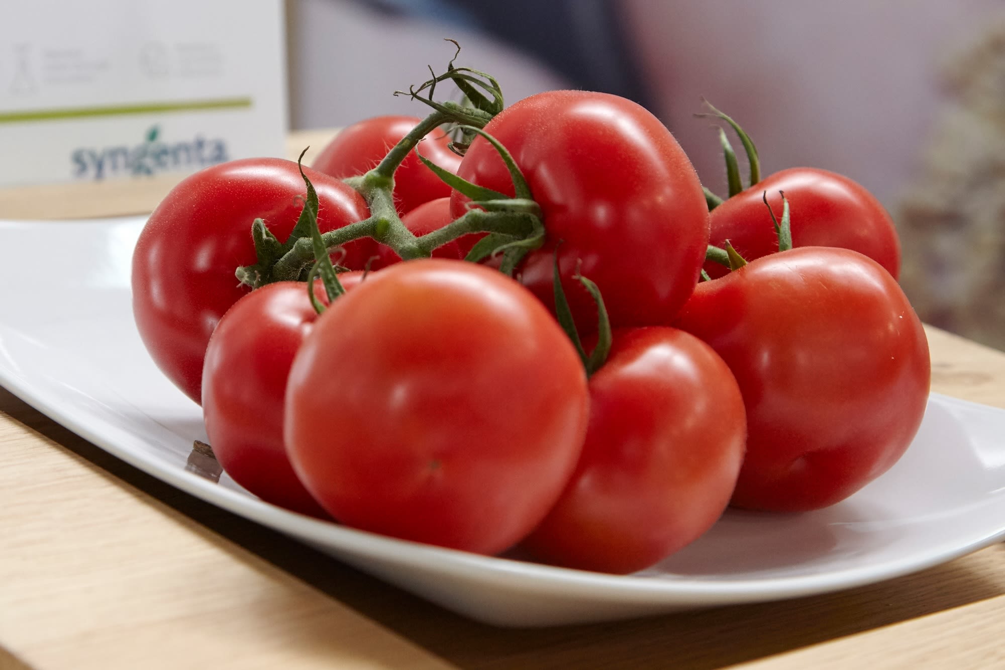 Using AI to breed tomorrow's tomatoes | Syngenta Group