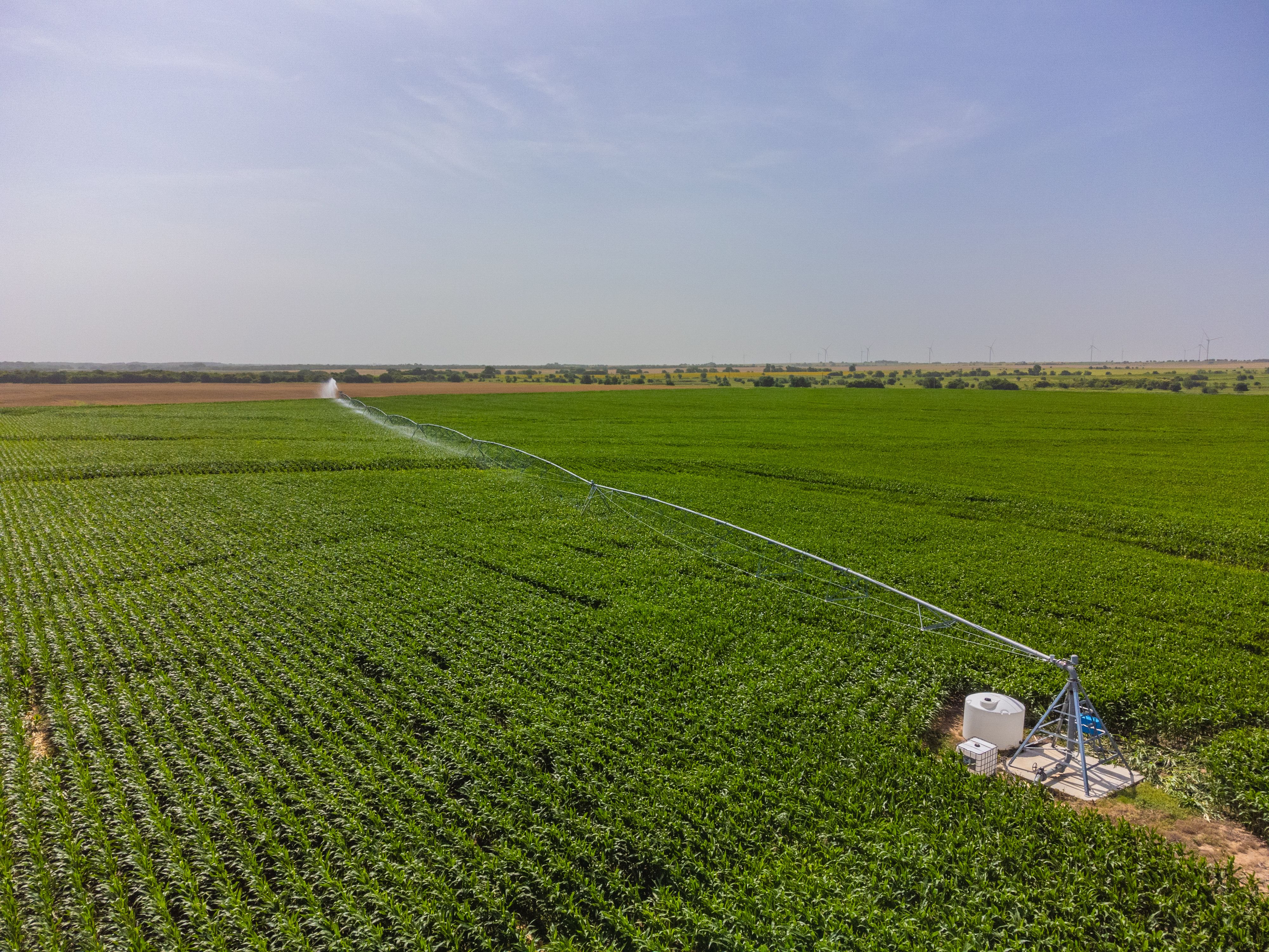 Innovation meets tradition | Syngenta Group