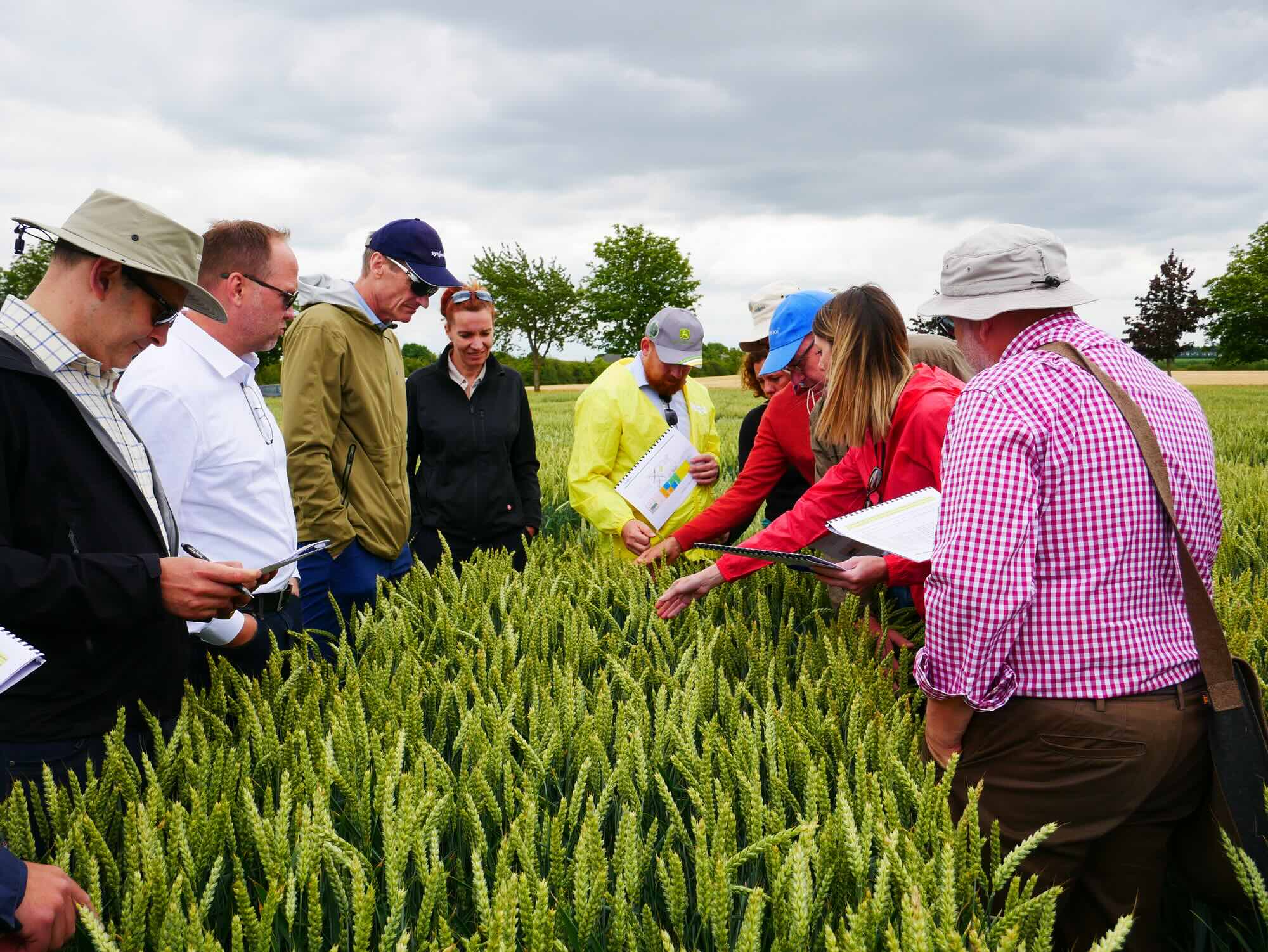 A suite of agronomic recommendations have been developed to ensure farmers see the difference in the field.