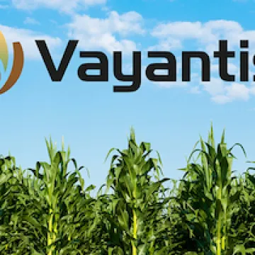 Syngenta Crop Protection announces U.S. registration of VAYANTIS®, a new fungicide seed treatment
