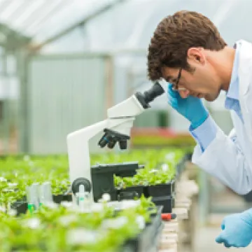 Syngenta Group ranked No. 4 overall and honored as top agriculture employer in 2020 Science magazine survey