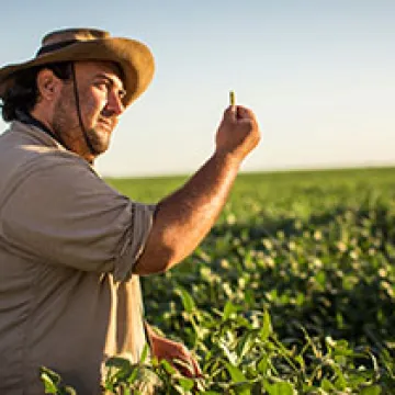 Syngenta Crop Protection announces PLINAZOLIN® technology: setting a new standard in innovative insect control