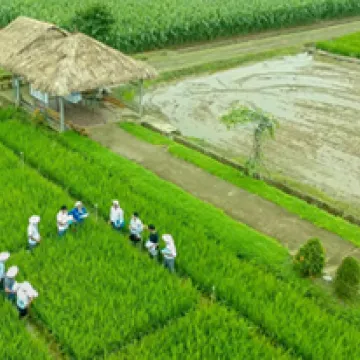 Syngenta Group announces that Syngenta AG completed a successful EUR 100 million tap of its existing EUR 800 million Eurobond