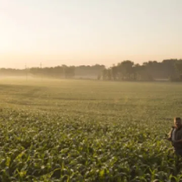 Syngenta Group announces that Syngenta AG completed a successful EUR 200 million tap of its existing EUR 600 million Eurobond and a new CHF 265 million bond issue