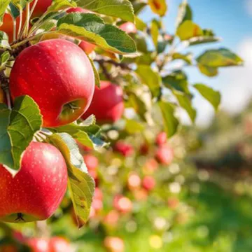 Apple-biologicals