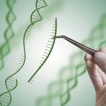 Genome-editing-Out-Licensning.jpg