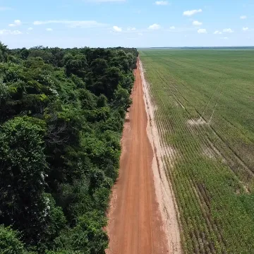  Regenerating degraded land in Cerrado Brazil - image