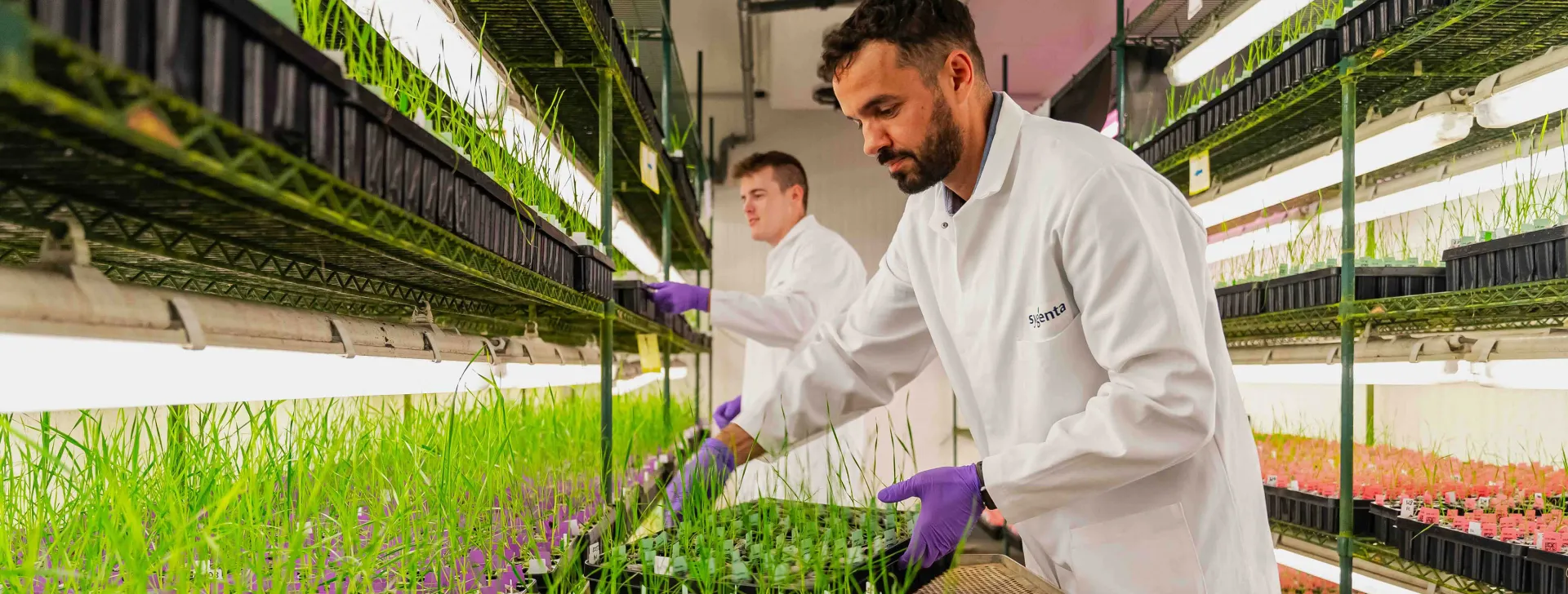 Male scientists in Jealotts Hill