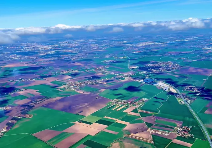 Green agricultural fields