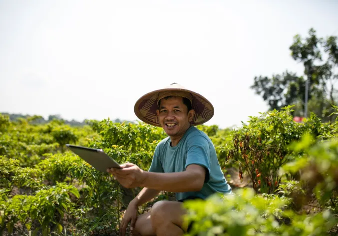Indonesian farmer using digital tablet on chilli field