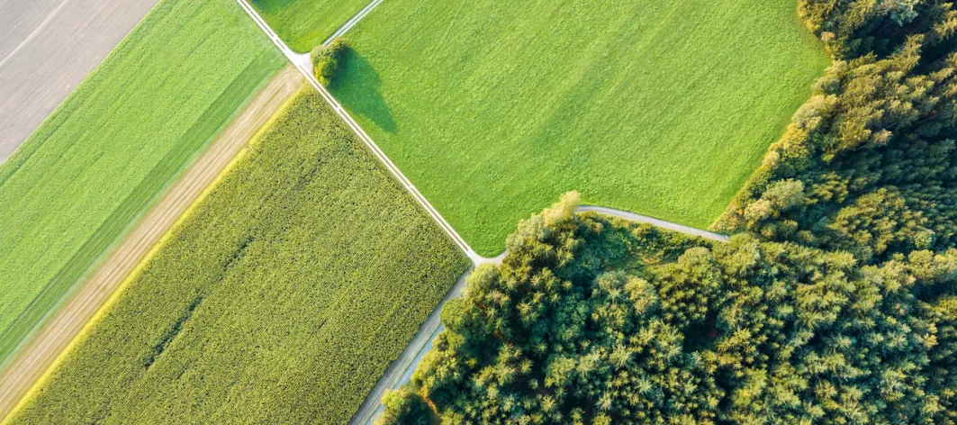 Aerial view of crop fields and wooded area