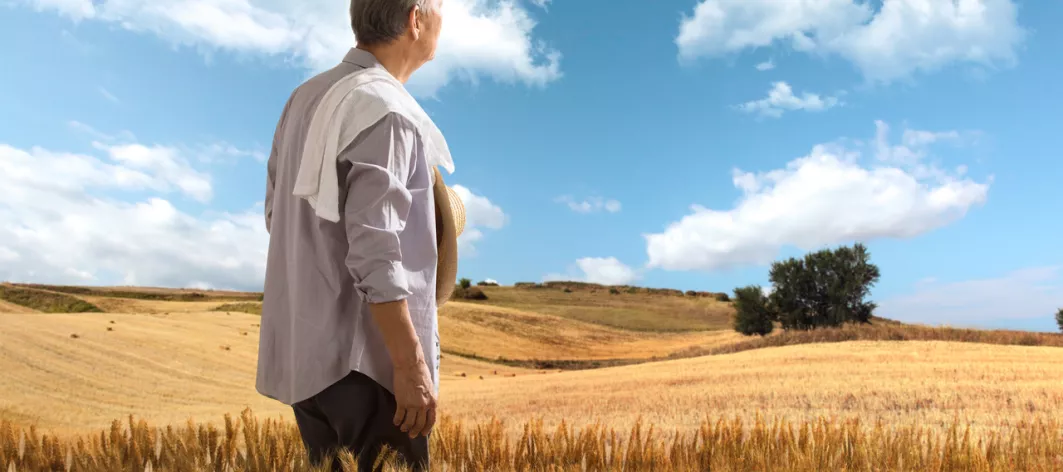 Farmer in view of wheat crop