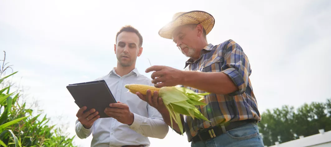 two men in a field holding a tablet and corn