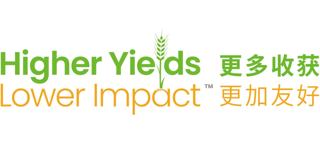 higher yields Chinese with color