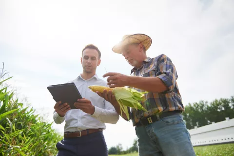 Farmer-with-tablet-and-corn