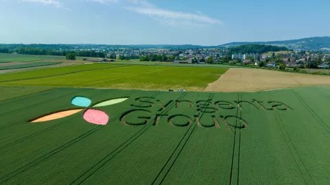 syngenta-group-logo-planting-event