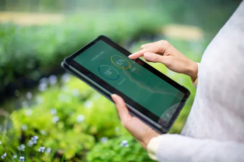  using digital tablet