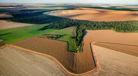 Cerrado