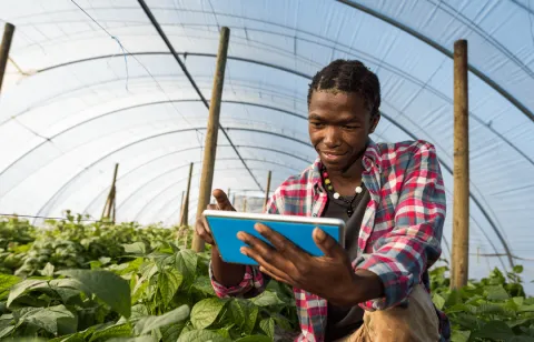 Farmer using a digital tablet in a green house 