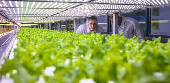 Accelerate innovation for farmers and nature