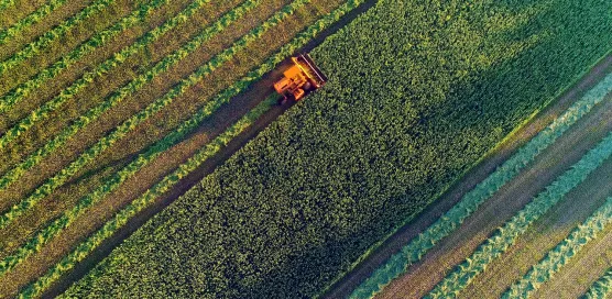 harvesting