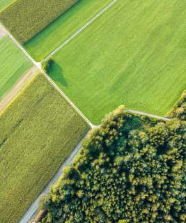 Aerial view of crop fields and wooded area