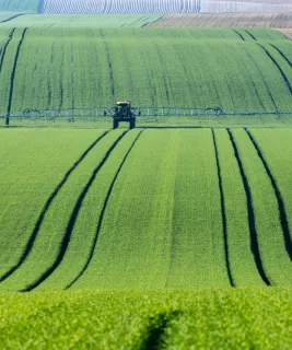 Rolling fields