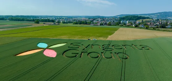 Syngenta Group HYR 2026