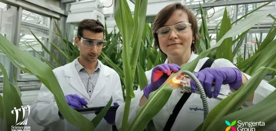 top employer syngenta