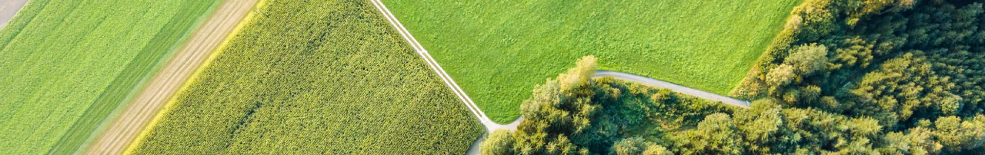 Aerial view of crop fields and wooded area