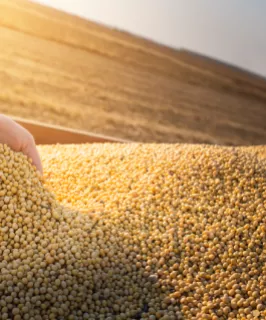 Crops, Seeds, and Flowers