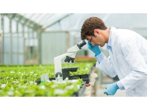 Syngenta Group ranked No. 4 overall and honored as top agriculture employer in 2020 Science magazine survey