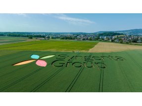 Syngenta Group HYR 2026
