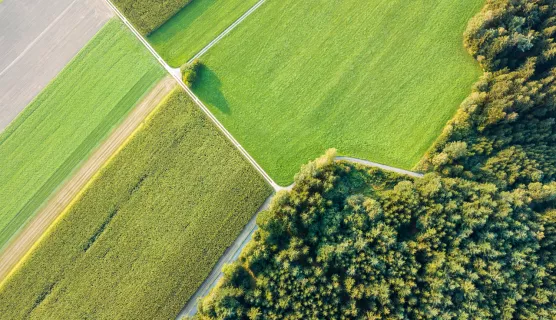 Aerial view of crop fields and wooded area