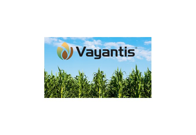 Syngenta Crop Protection announces U.S. registration of VAYANTIS®, a new fungicide seed treatment