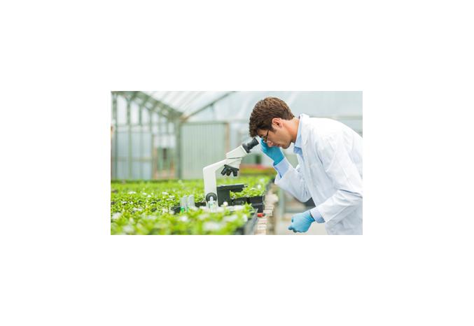 Syngenta Group ranked No. 4 overall and honored as top agriculture employer in 2020 Science magazine survey