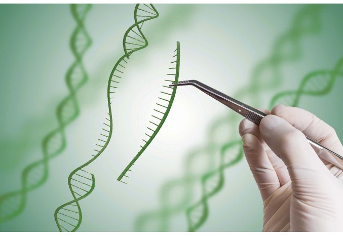 Genome-editing-Out-Licensning.jpg