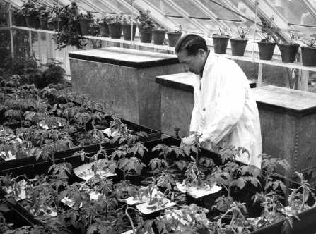 Jealotts Hill History -3